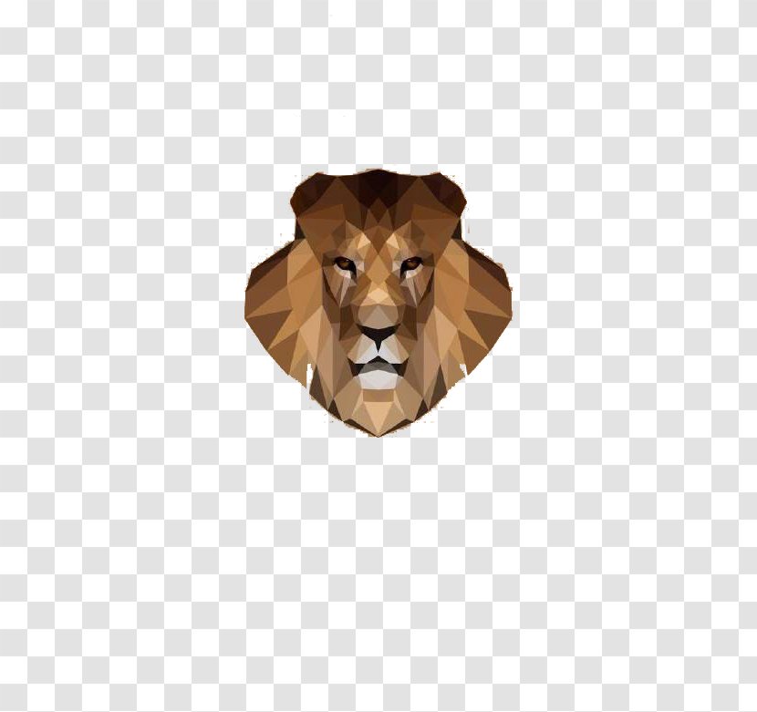 Lion Gratis - Big Cats Transparent PNG