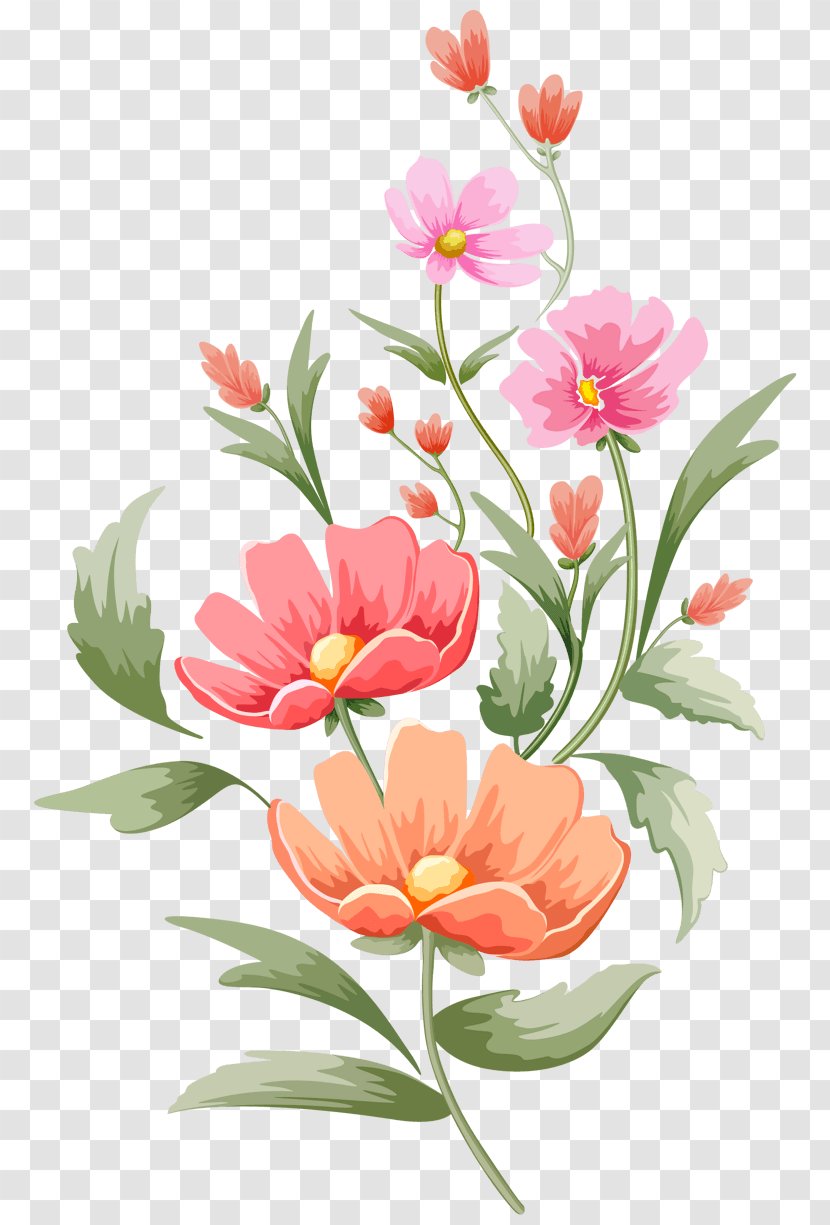 Vector Graphics Floral Design Illustration Watercolor Painting Flower - Blossoming Wallpaper Transparent PNG