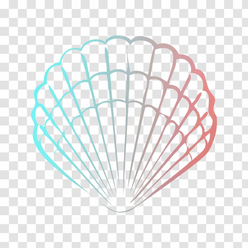 Vector Graphics Illustration Image Drawing Royalty-free - Bivalve - Scallop Transparent PNG