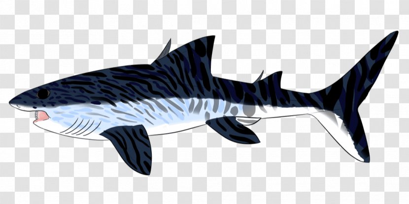 Helicoprion Tiger Shark Digital Art Phosphoria Formation - Drawing Transparent PNG