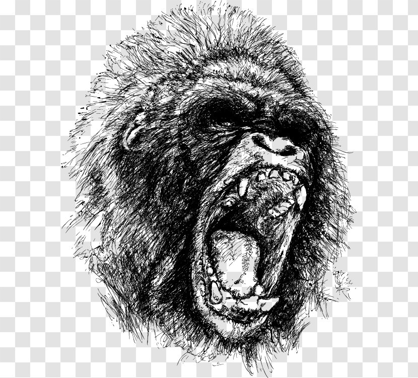 Gorilla Ape King Kong Drawing Anger - Sketch Vector Transparent PNG