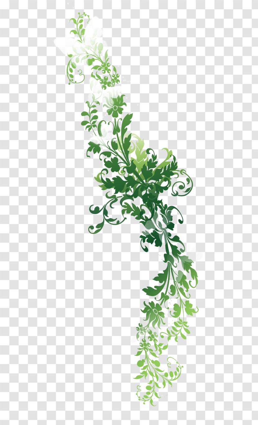 Twig Text Leaf Plant Stem Illustration - Presentation - Nature Images Transparent PNG