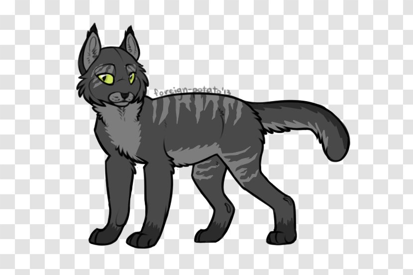 Whiskers Kitten Black Cat Dog - Legendary Creature Transparent PNG
