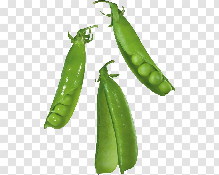 Snap Pea Silique - Chili Pepper Transparent PNG