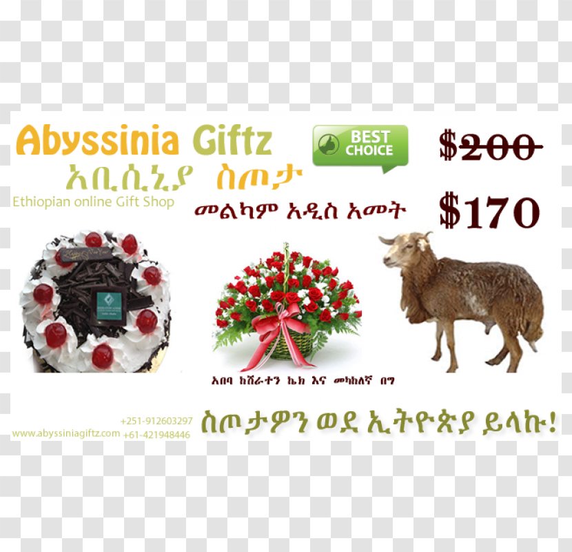 Addis Ababa Sheep Christmas Ornament Medium Transparent PNG