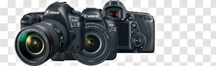 Canon EOS 5D Mark IV Mirrorless Interchangeable-lens Camera Lens Photography - 5d Transparent PNG