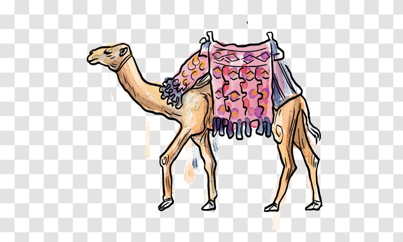 Camel Cartoon - Arabian Transparent PNG
