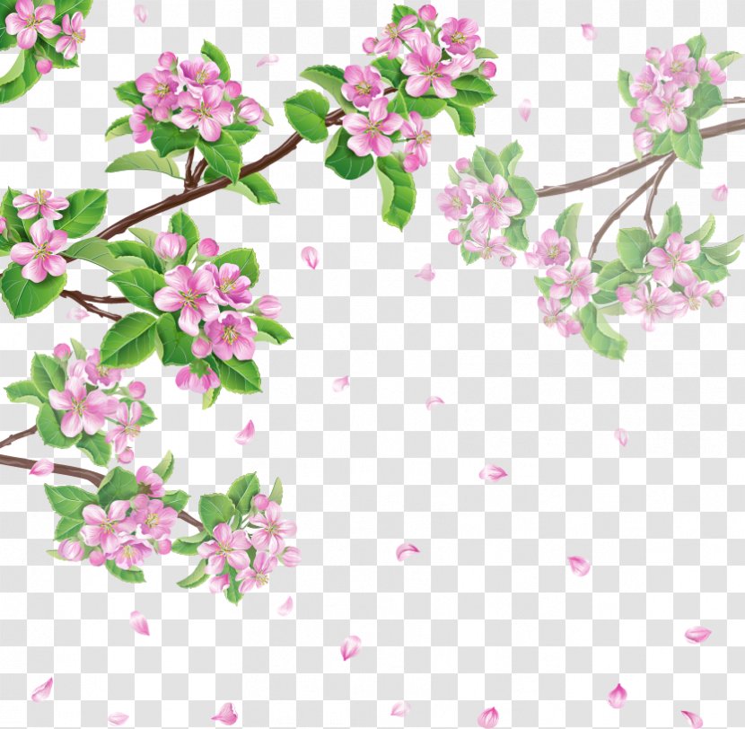 Spring Flower Cherry Blossom - Arranging - Blossoms Transparent PNG