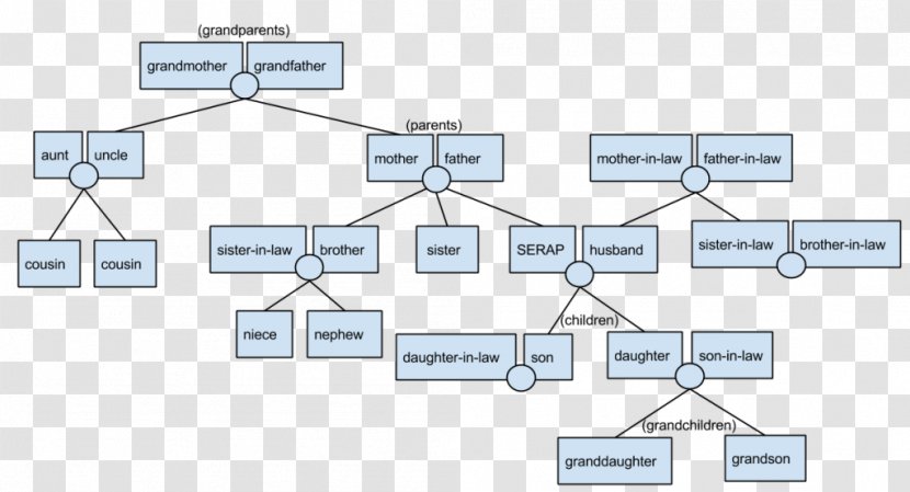 Family Tree Homework Knowledge Learning - Organization - Nephew And Niece Transparent PNG