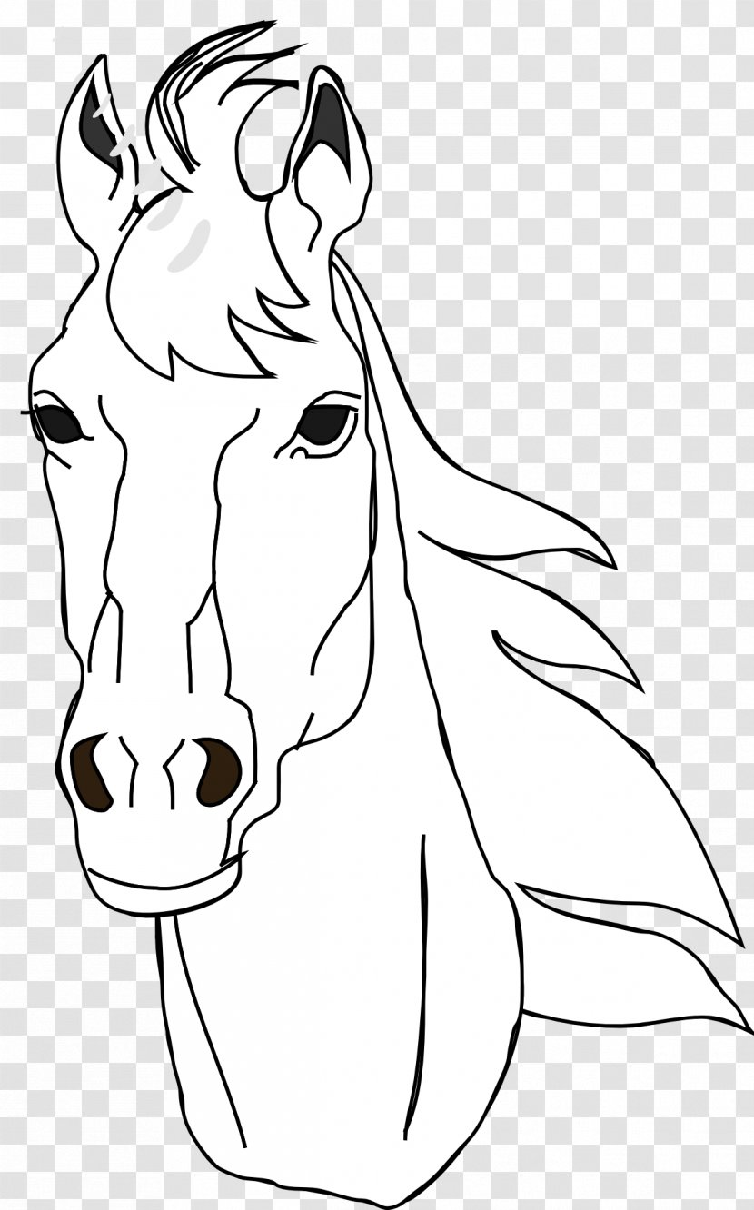 Coloring Book Horse Head Mask Australian Stock Drawing Clip Art - Watercolor Transparent PNG