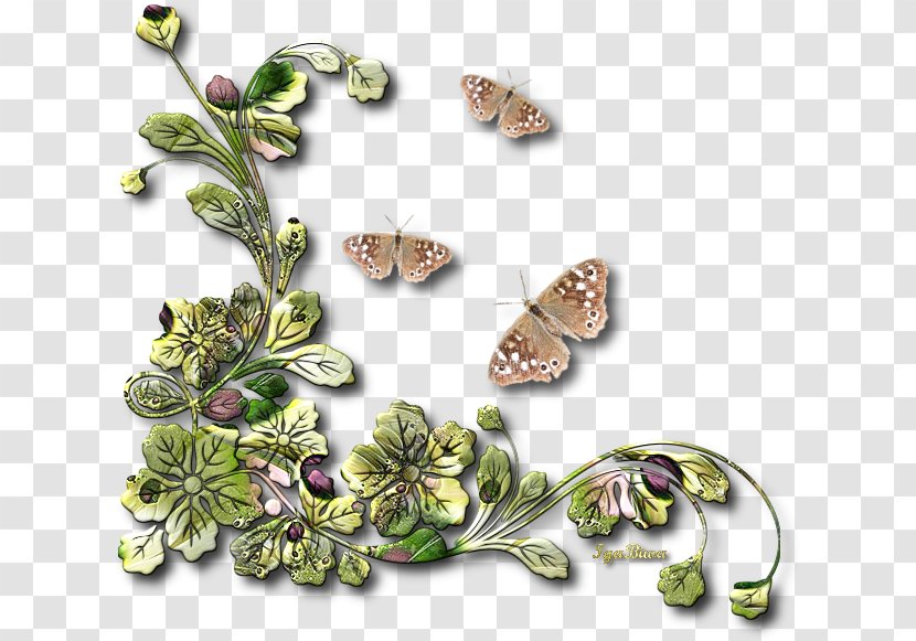 Large White Butterflies And Moths Inachis Io - Pavo - Arabesk Transparent PNG
