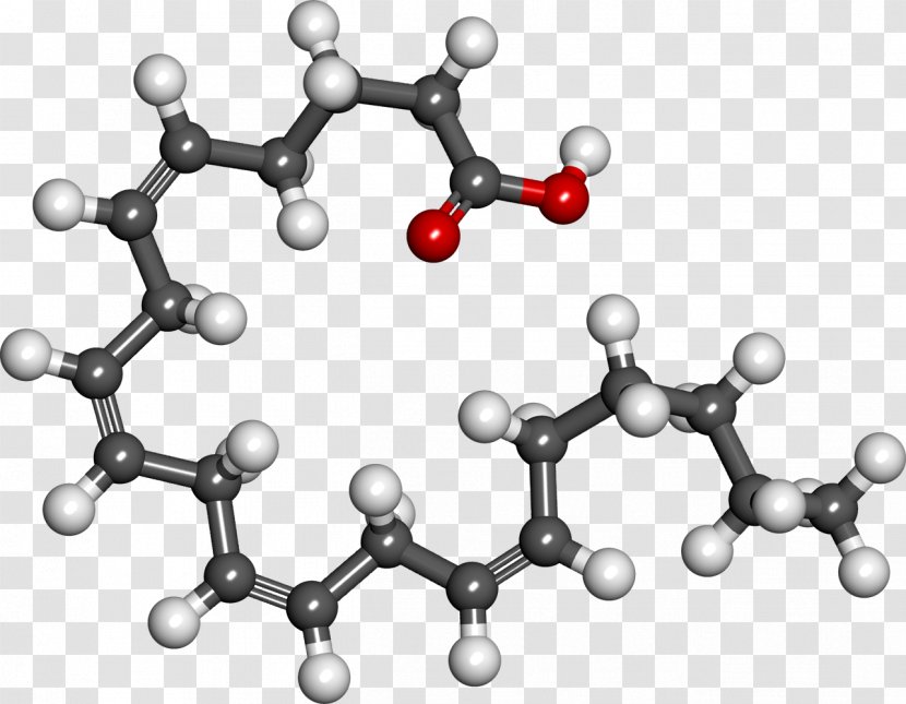 Arachidonic Acid Eicosatetraenoic Carboxylic Chemistry - Arachidic Transparent PNG