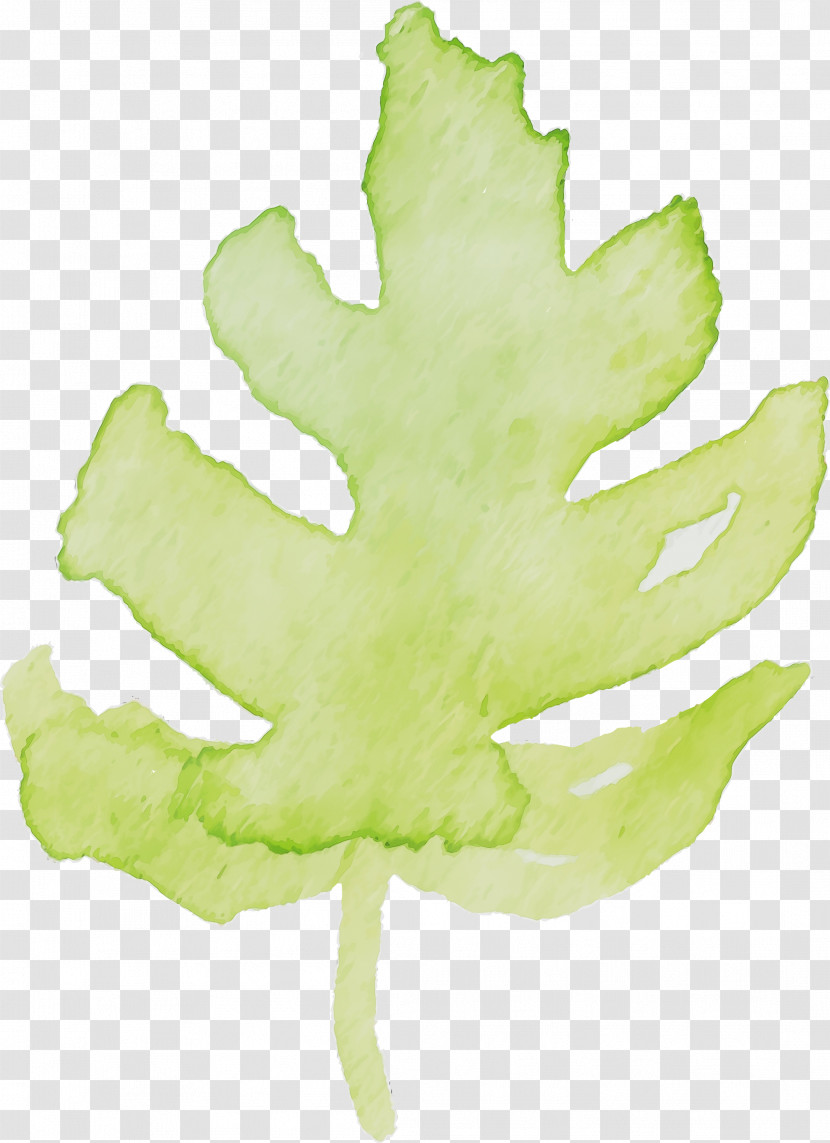 Maple Leaf Transparent PNG