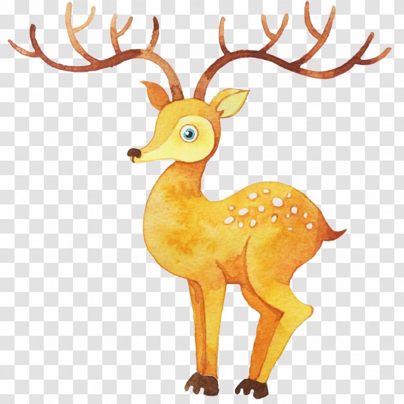 Watercolor Painting Illustration - Wildlife - Deer Transparent PNG