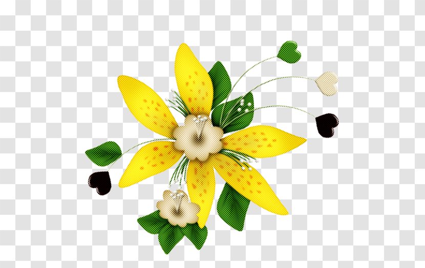 Flower Yellow Petal Plant Flowering - Wildflower - Amaryllis Family Narcissus Transparent PNG