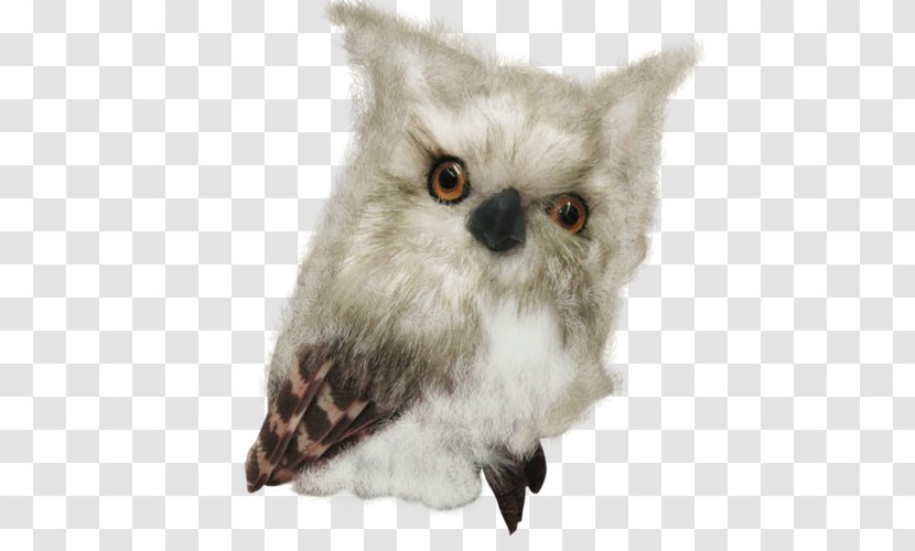 Owl Bird Sovunya Clip Art - Beak Transparent PNG