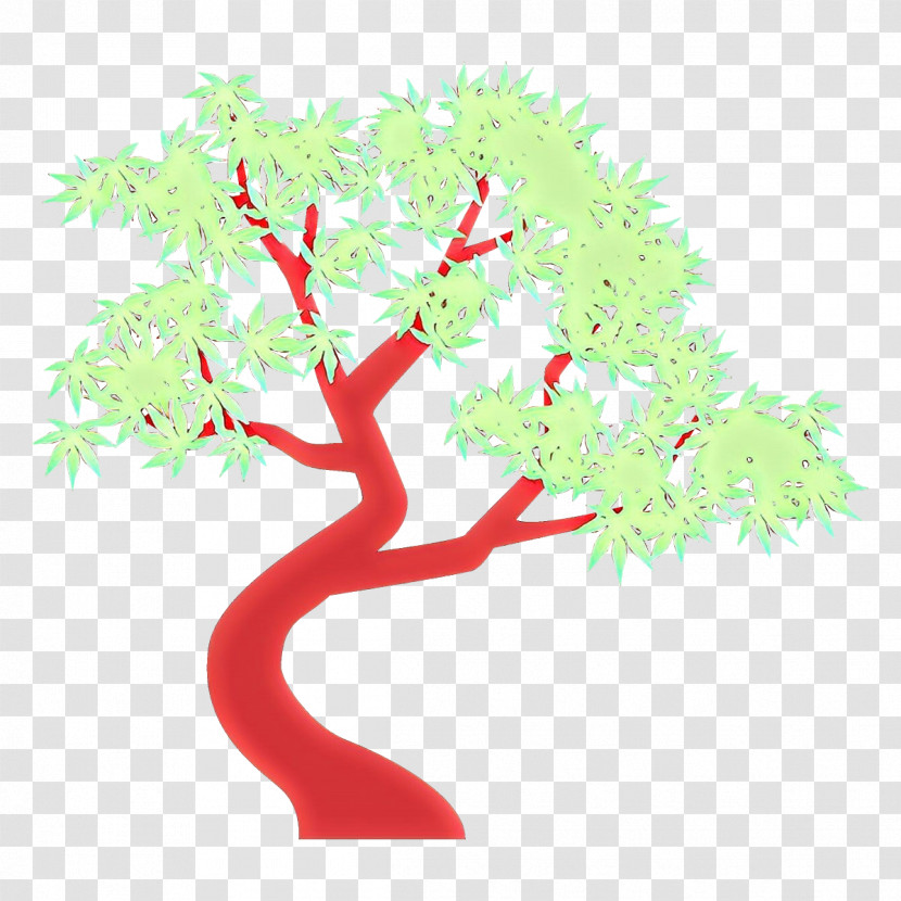 Tree Branch Plant Woody Plant Houseplant Transparent PNG