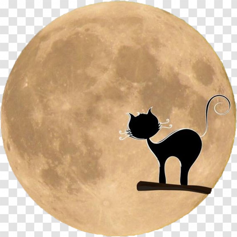 Black Cat Dog Clip Art - Moon Transparent PNG