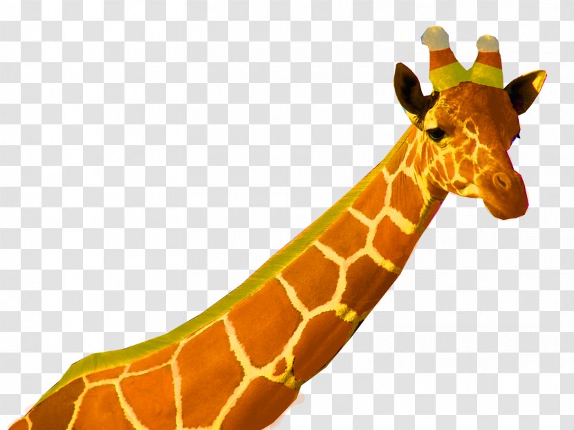 Image Safari Ramat Gan Video Games Drawing - Film - Marty Madagascar Giraffe Transparent PNG