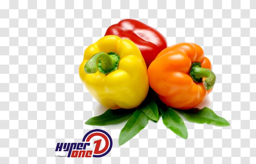 Vegetarian Cuisine Bell Pepper Food Chili Vegetable Transparent PNG