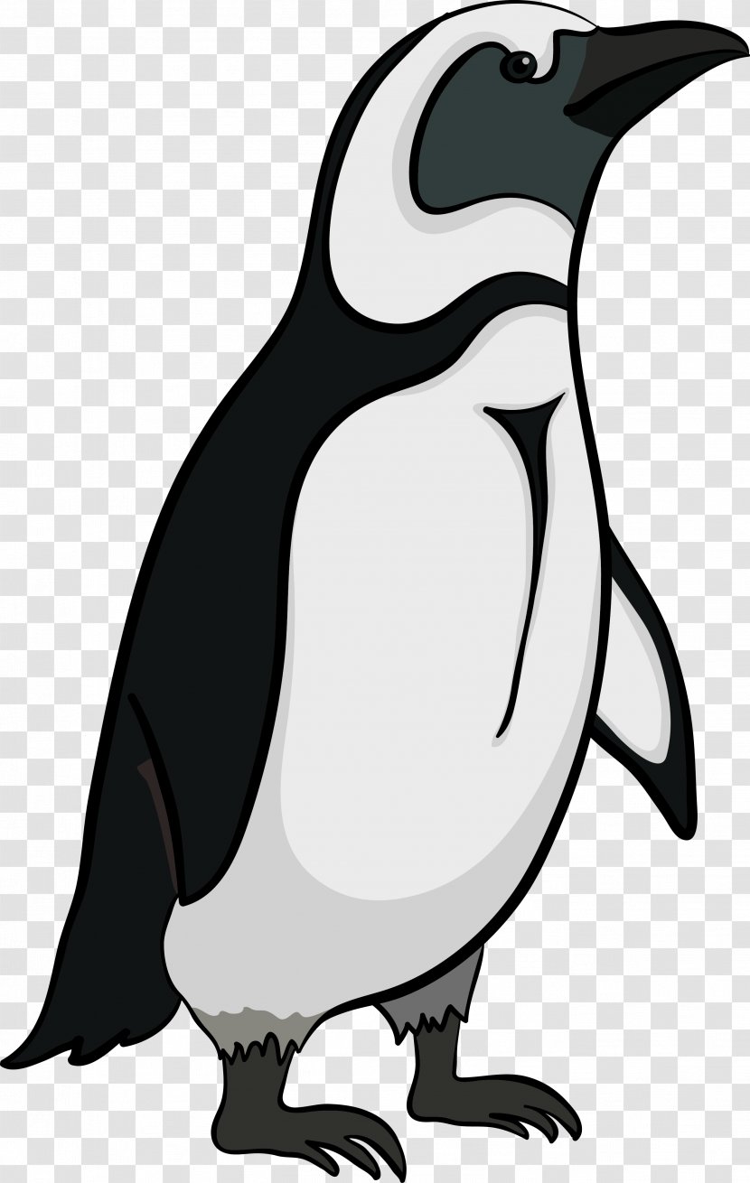 Emperor Penguin Antarctica - King - Penguins Transparent PNG