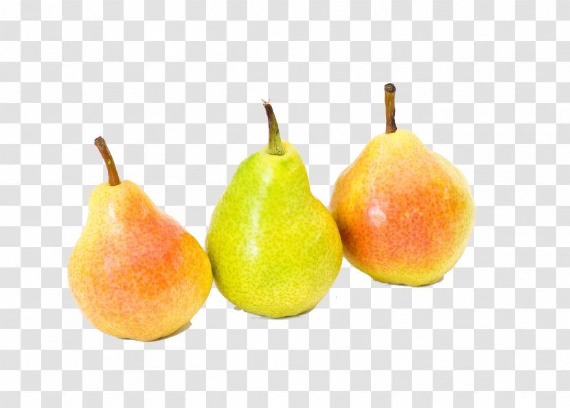 Fruit Cute Pyrus Xd7 Bretschneideri - Colorful Fruits Pears Transparent PNG