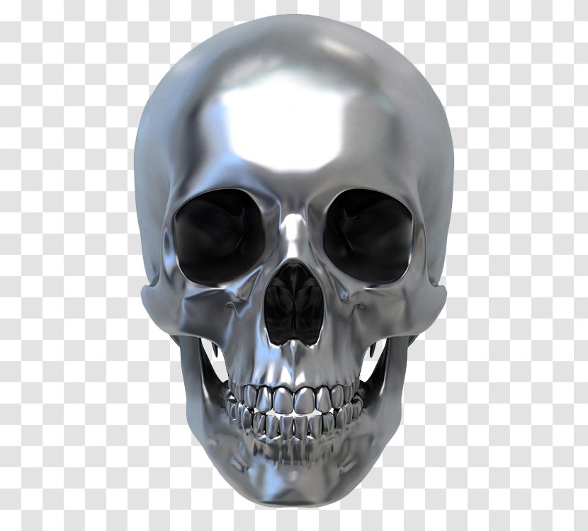 Human Skull Symbolism Metal Royalty-free - Photography - Silver Iron Transparent PNG