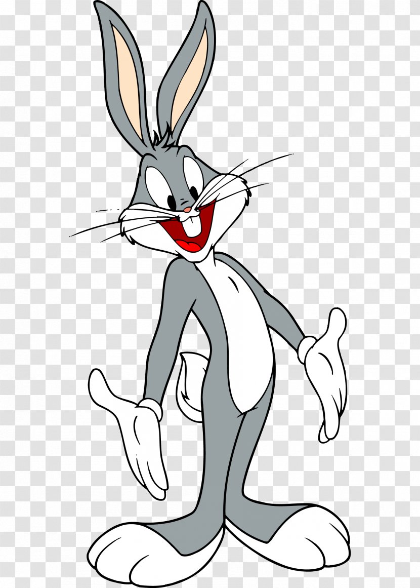 Bugs Bunny Elmer Fudd Looney Tunes Daffy Duck Cartoon - Vertebrate Transparent PNG