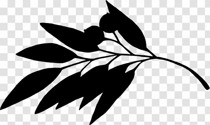 Clip Art Leaf Plant Stem Silhouette Flowering - Twig - Flower Transparent PNG