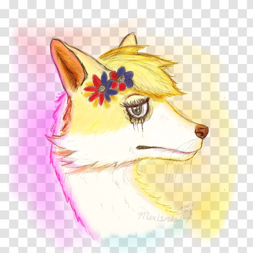 Whiskers Dog Red Fox Cat Snout Transparent PNG