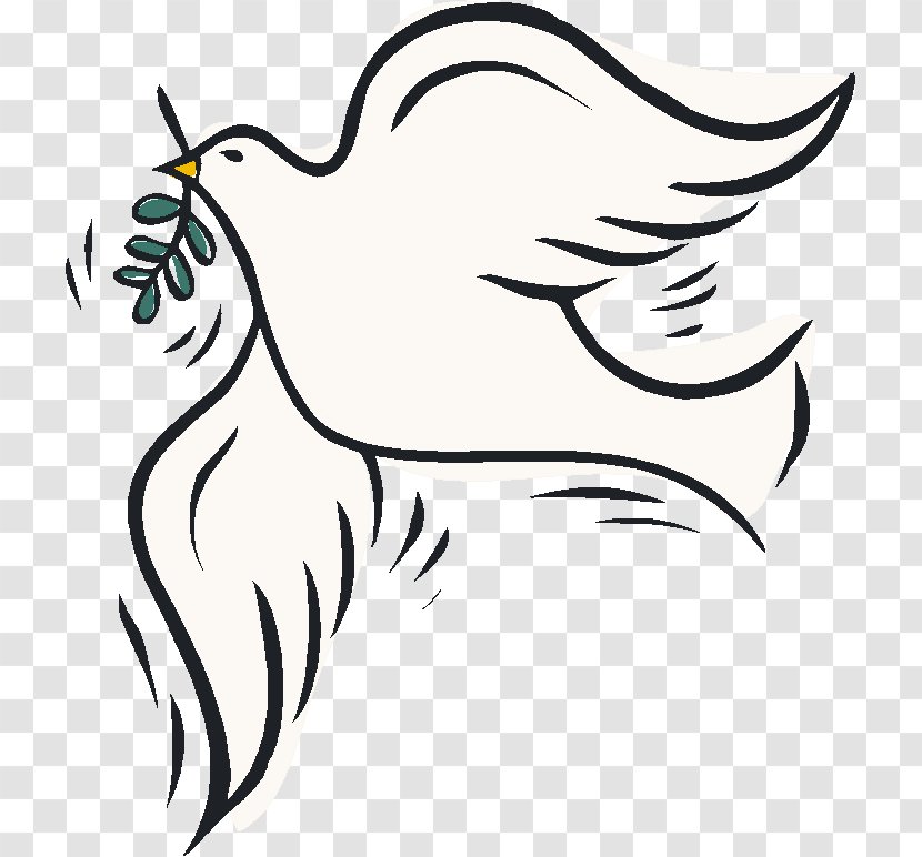 Columbidae Colombe Peace Clip Art - Nose - Seasons Greetings Transparent PNG