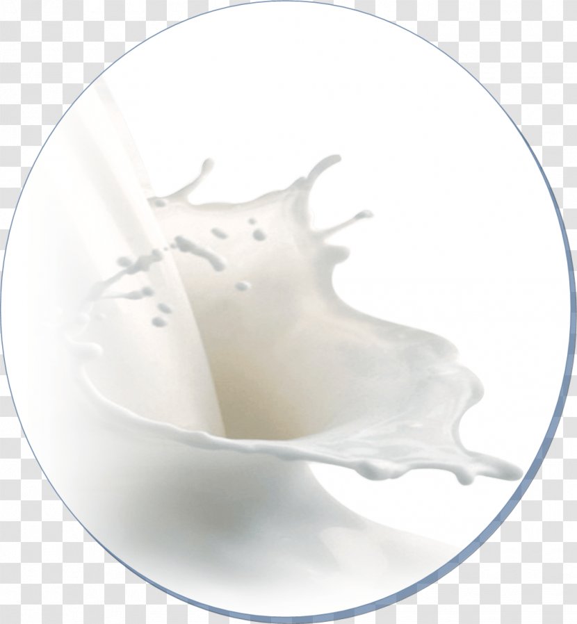 Goat Milk Dairy Products Powdered - Salt Transparent PNG