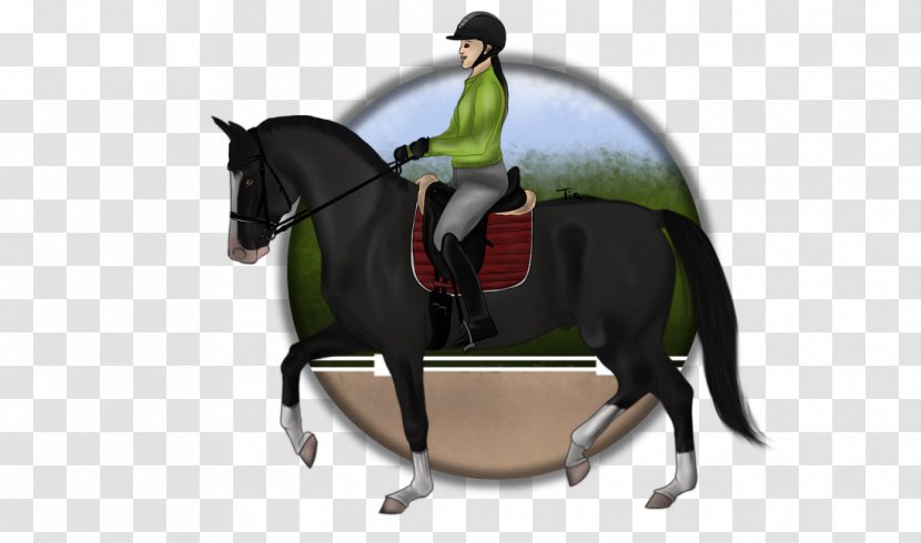 Bridle Stallion Horse Equestrian Halter - Harness Transparent PNG