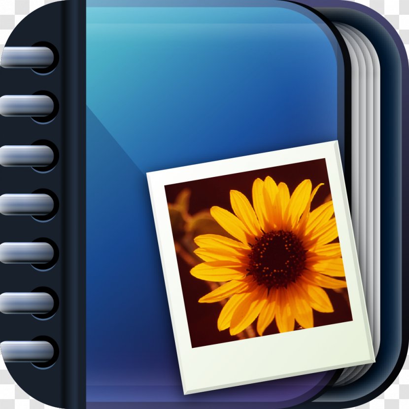 Photo Albums Photography Download - Frame - Application Transparent PNG