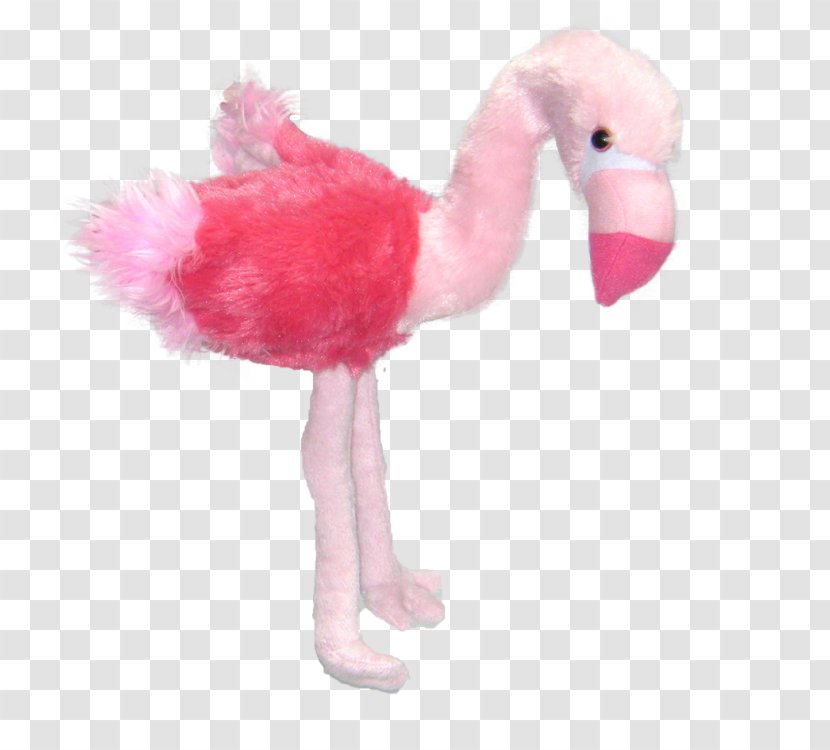 Plush Greater Flamingo Pink Beak Transparent PNG