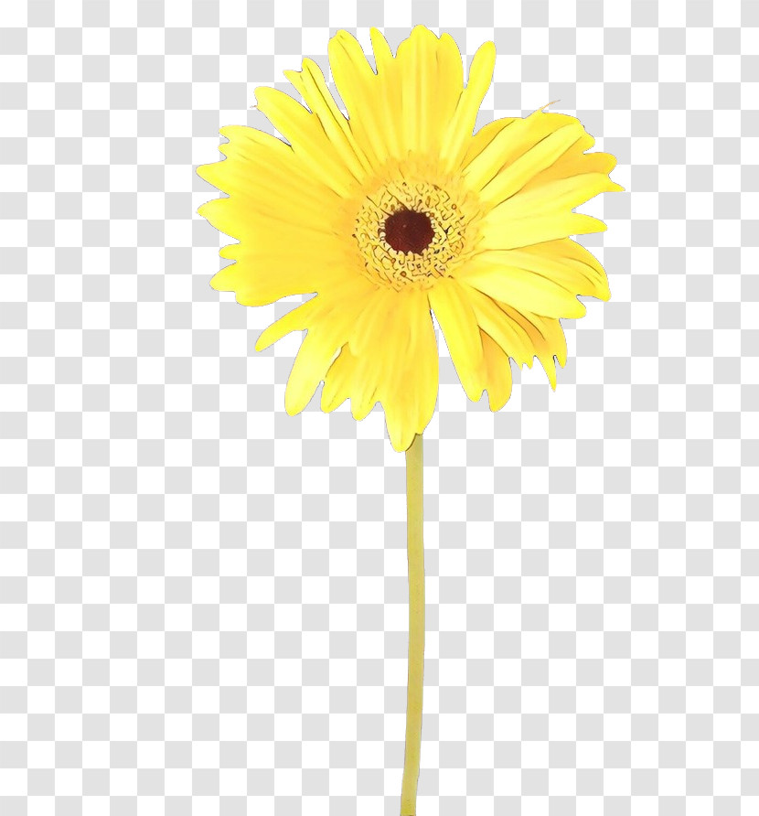 Sunflower Transparent PNG