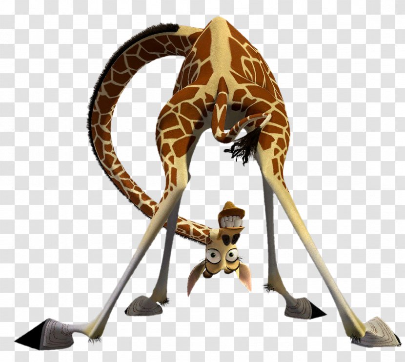 Melman Gloria Alex Giraffe Madagascar - Organism Transparent PNG