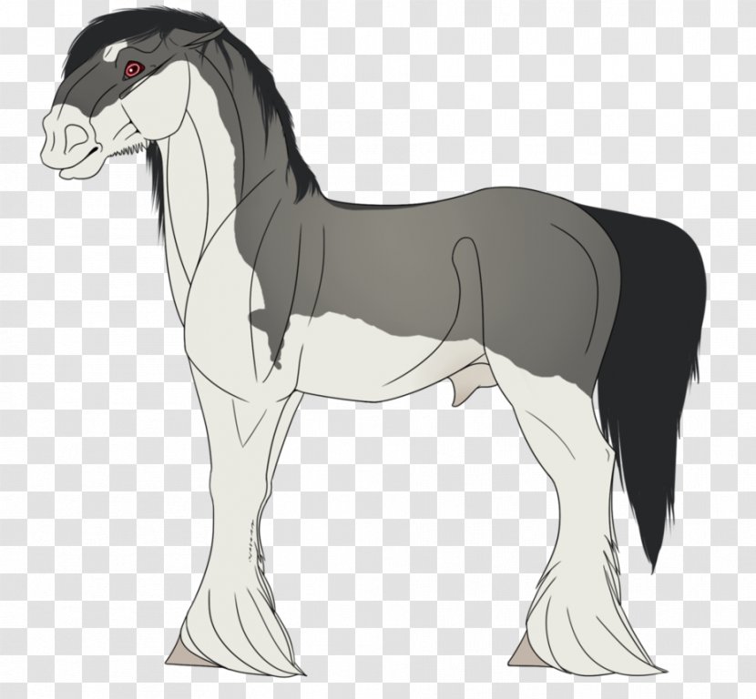 Pony Mustang Stallion Mane Pack Animal Transparent PNG