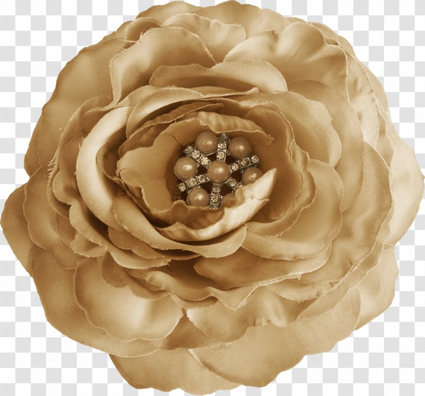 Rose Clip Art - Cut Flowers - Petal Transparent PNG
