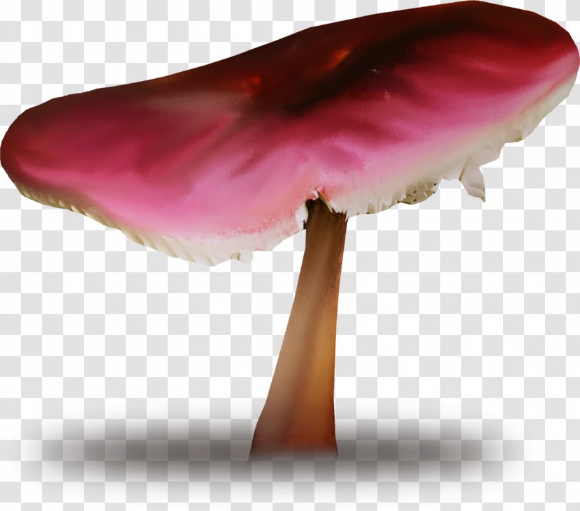 Common Mushroom Edible Fungus Shiitake - Pleurotus Eryngii Transparent PNG