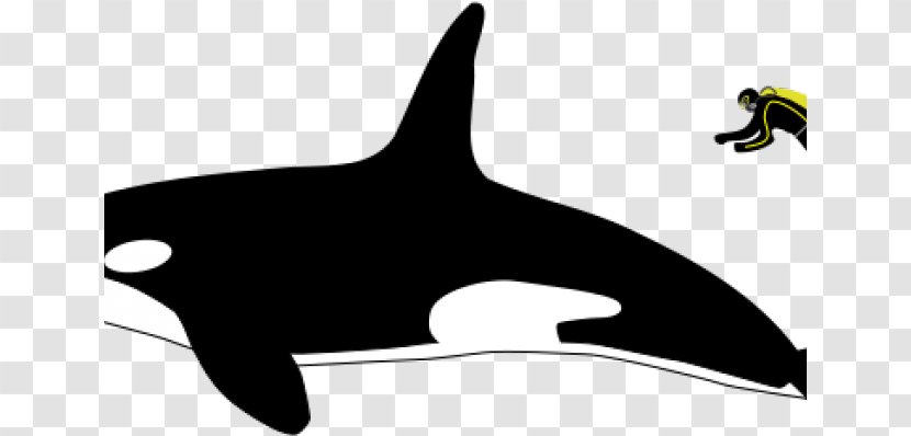 Killer Whale Whales Clip Art Great White Shark Leopard Seal - Dolphin Silhouette Transparent PNG