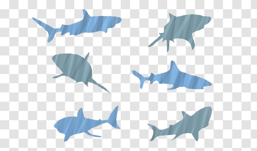 Shark Euclidean Vector Pattern - Fish - Material Transparent PNG