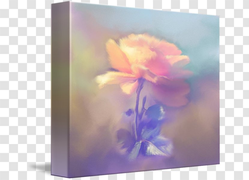 Lilac Violet Still Life Photography Flower - Rose Leslie Transparent PNG