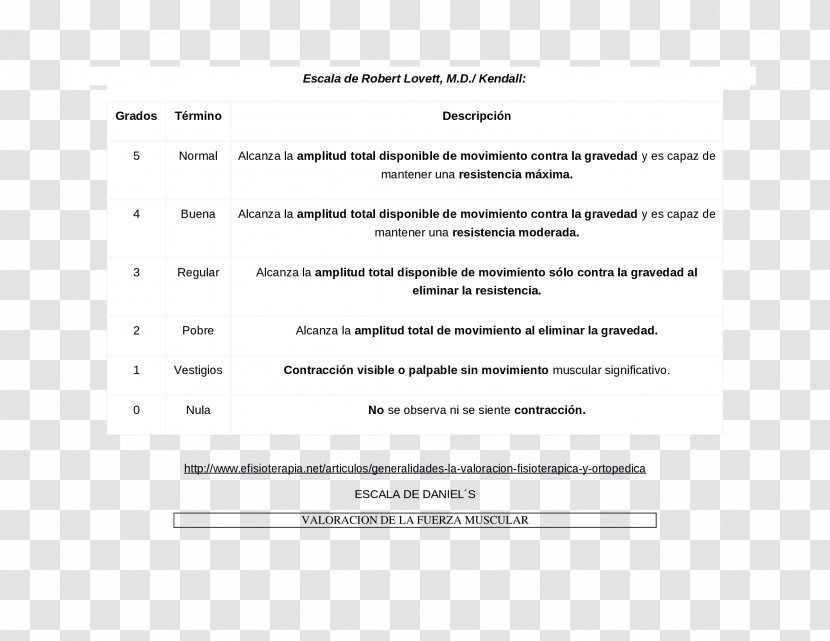 Document Line Brand Transparent PNG