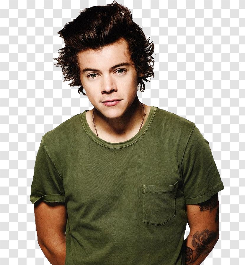 Harry Styles One Direction Four Love - Flower Transparent PNG