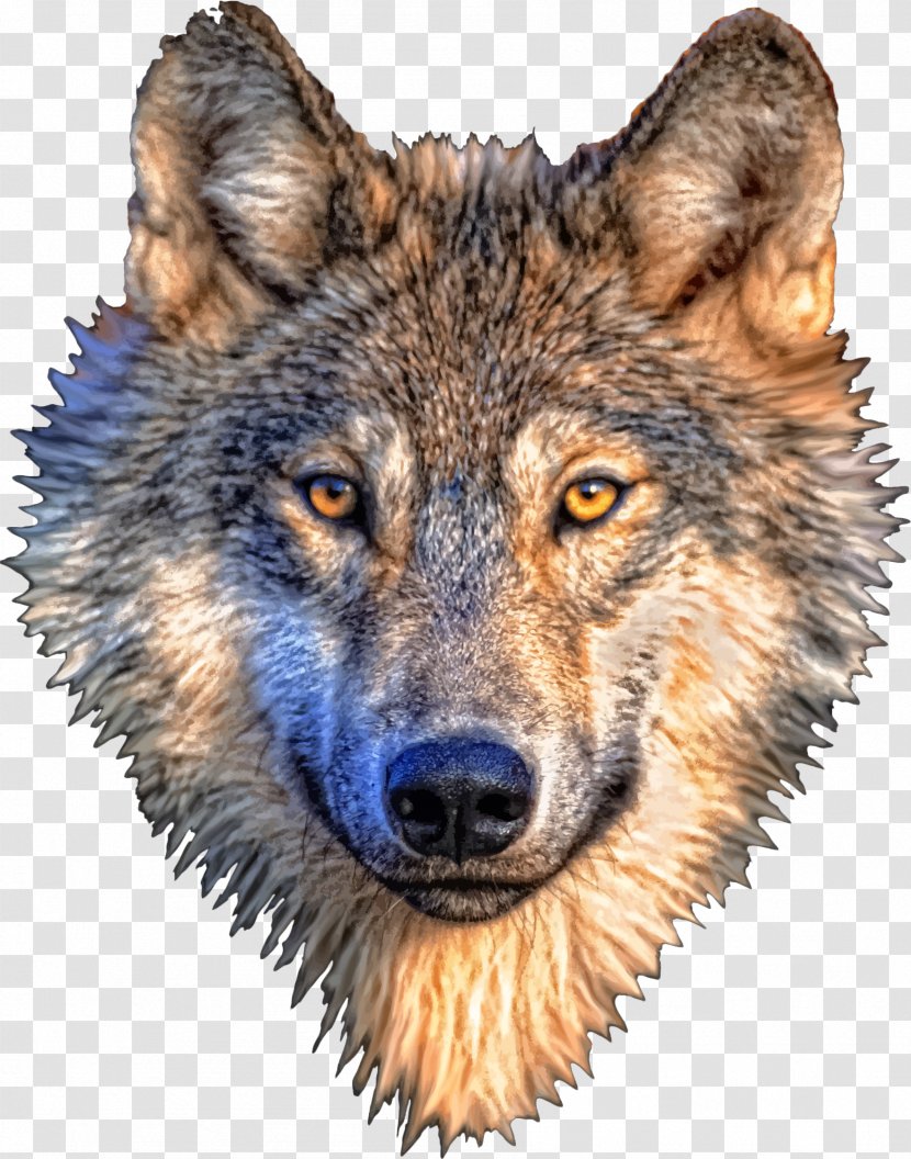 Gray Wolf T-shirt - Carnivoran Transparent PNG