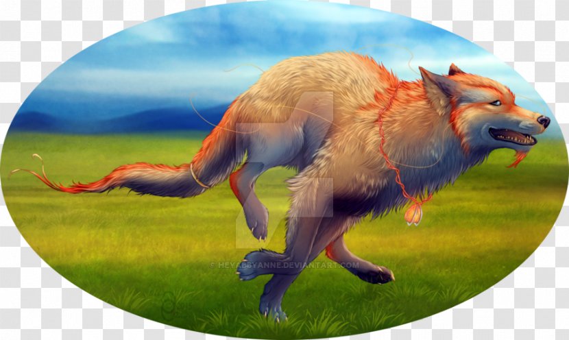 Red Fox Fauna Wildlife Snout News - Grass Transparent PNG
