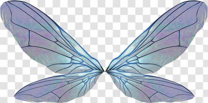 Brush-footed Butterflies Крылья / Wings Archive File RAR - Rar Transparent PNG