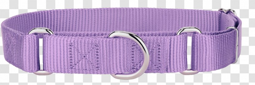 Dog Collar Martingale Leash - Purple Transparent PNG