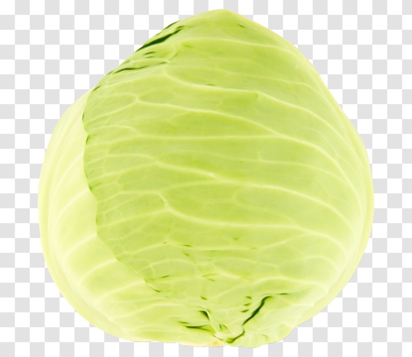Cabbage Leaf Green Wild Lettuce - Watercolor - Vegetable Transparent PNG